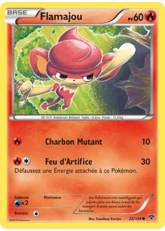 Flamajou #22/146 — XY