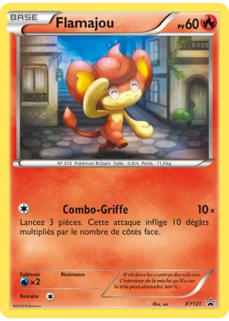 Flamajou XY131 — XY Promos