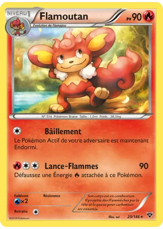 Flamoutan #23 — XY