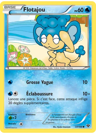 Flotajou #37/146 — XY