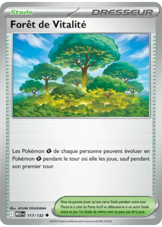 Forêt de Vitalité #117/132 — Méga-Évolution