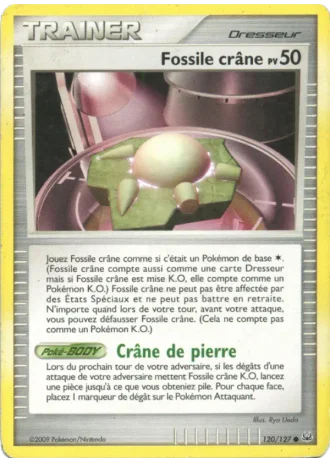 Fossile crâne #120/127 — Platine
