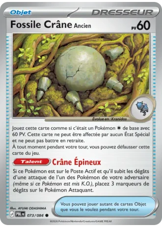 Fossile Crâne Ancien #073/84 — Nuit Noire