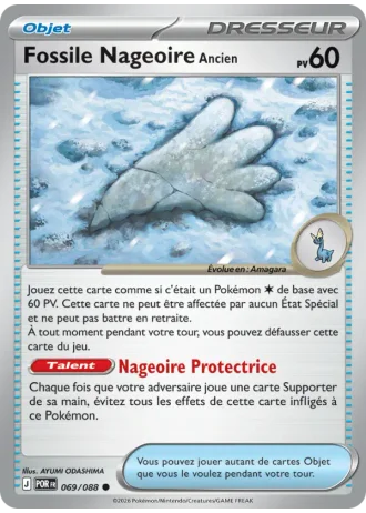 Fossile Nageoire Ancien #069/88 — Équilibre Parfait