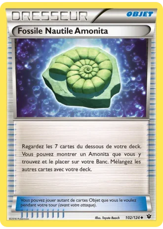 Fossile Nautile Amonita #102 — Impact des Destins