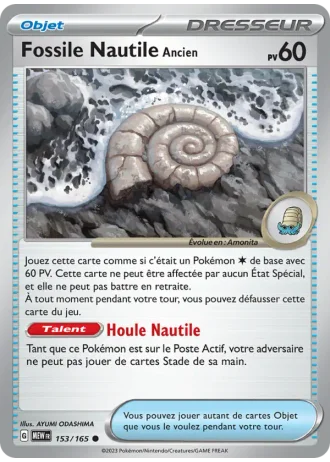 Fossile Nautile Ancien #153/165 — 151