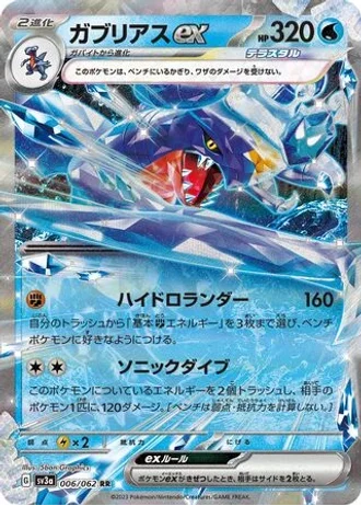 Garchomp ex #6/62 — Raging Surf