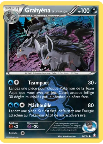 Grahyèna de la Team Aqua #18 — Double Danger