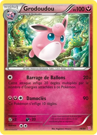 Grodoudou #14 — XY Kit du dresseur (Grodoudou)
