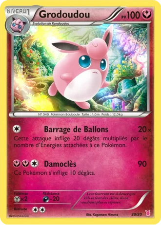 Grodoudou #30 — XY Kit du dresseur (Grodoudou)