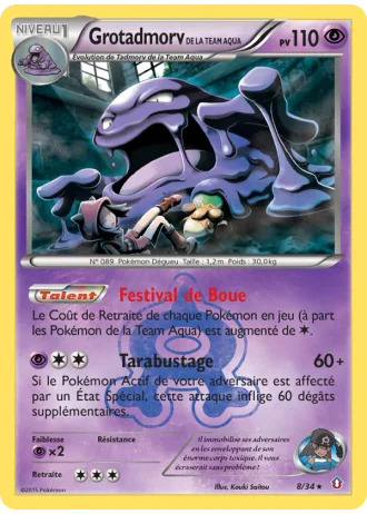 Grotadmorv de la Team Aqua #8/34 — Double Danger
