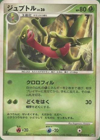 Grovyle (1st Edition) — Dawn Dash (1st Edition)