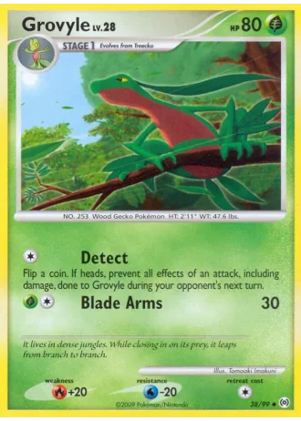 Grovyle #38 — Arceus