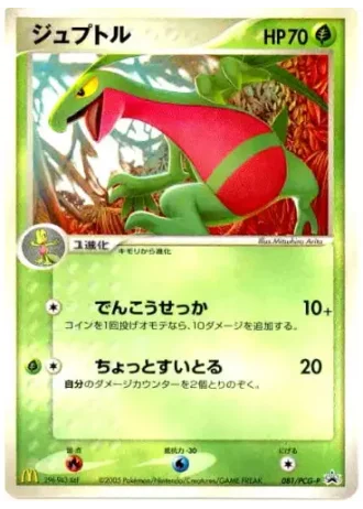 Grovyle #81/PCG-P — PCG Promos
