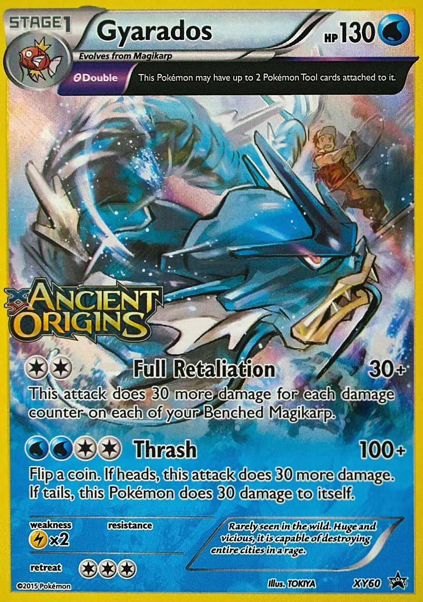 Gyarados XY60 — XY Promos