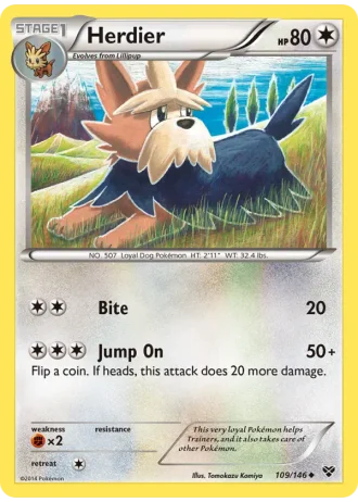 Herdier #109/146 — XY