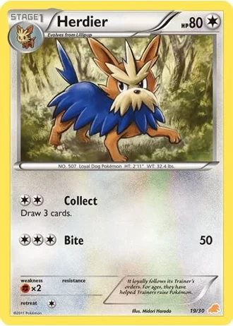 Herdier #19 — BW trainer Kit (Excadrill)