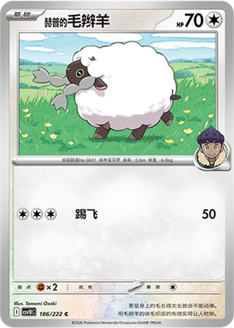 Hop's Wooloo #186/222 — Chasing Glory Together