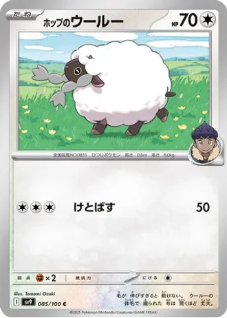 Hop's Wooloo #85 — Battle Partners