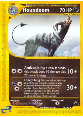 Houndoom #12 — Skyridge