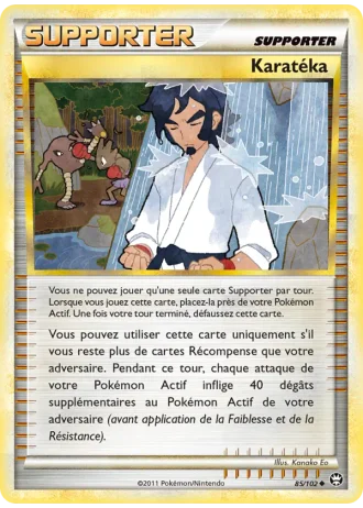 Karatéka #85/102 — Triomphant
