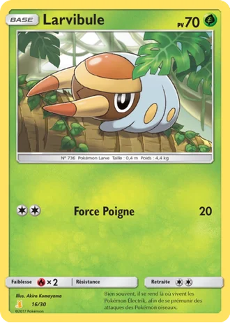 Larvibule #16 — SM Kit du dresseur (Raichu d'Alola)