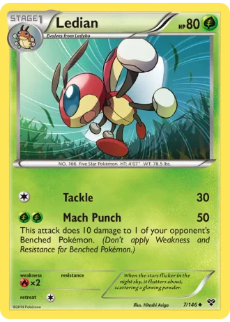 Ledian #7/146 — XY
