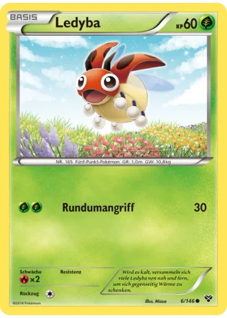 Ledyba #6/146 — XY
