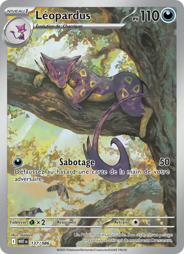 Léopardus #137 — Flamme Blanche