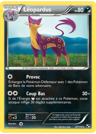 Léopardus #67/114 — Noir & Blanc