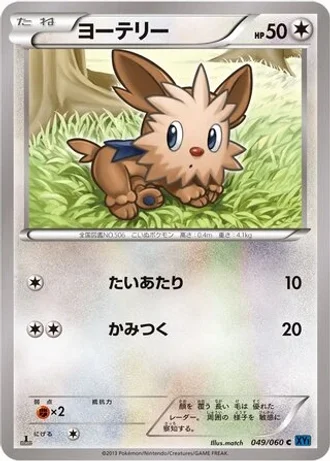 Lillipup #49/60 — Collection X