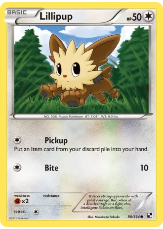 Lillipup #80 — Black & White