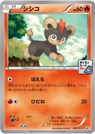 Litleo #81/XY-P — XY Promos