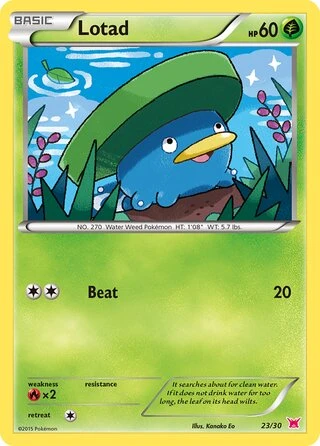Lotad #23 — XY trainer Kit (Latias)