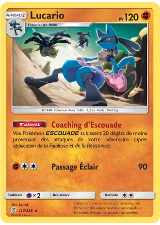 Lucario #117/236 — Harmonie des Esprits