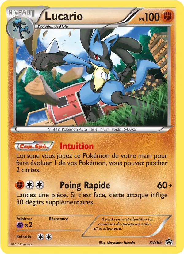 Lucario BW85 — Noir & Blanc Promos