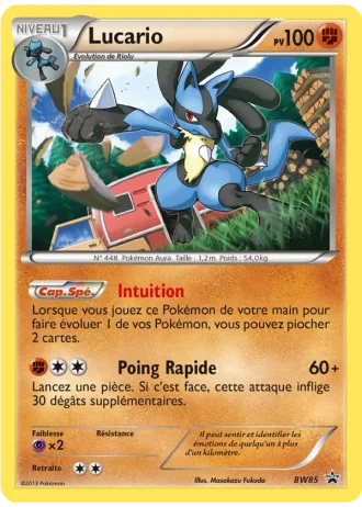 Lucario BW85 — Noir & Blanc Promos