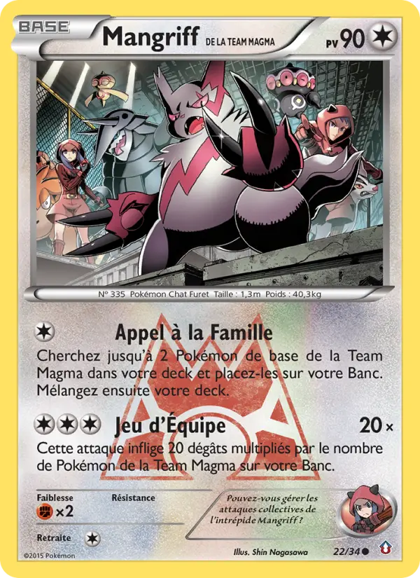 Mangriff de la Team Magma #22 — Double Danger