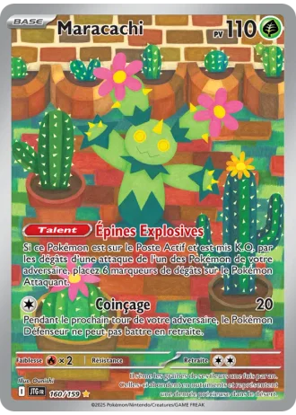 Maracachi #160/159 — Aventures Ensemble