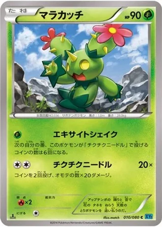 Maractus #10 — Wild Blaze
