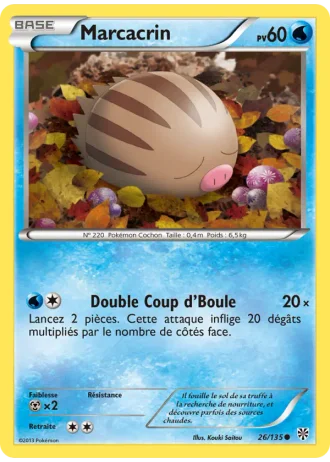 Marcacrin #26/135 — Tempête Plasma