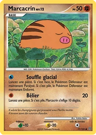 Marcacrin #77/100 — Tempête