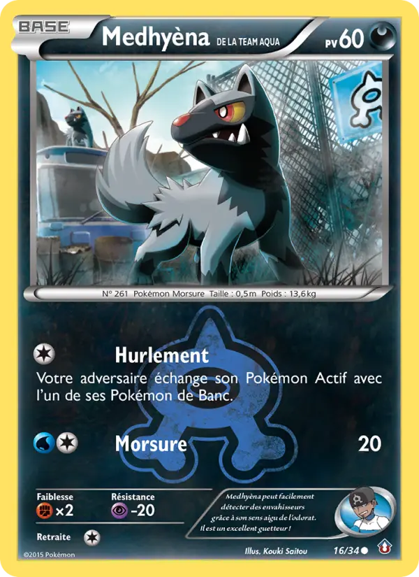 Medhyèna de la Team Aqua #16 — Double Danger