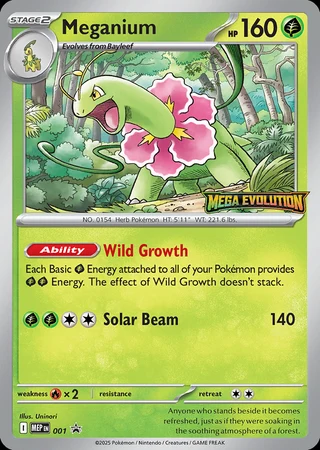 Meganium #001 — MEP Black Star Promos