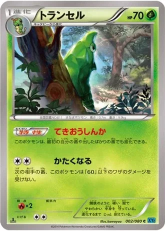 Metapod (1st Edition) #2 — Wild Blaze (1st Edition)