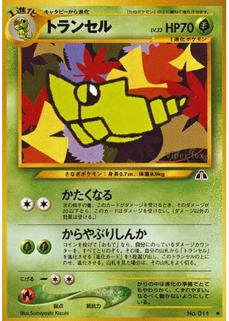 Metapod — Crossing the Ruins...