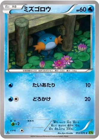 Mudkip (1st Edition) #12/70 — Tidal Storm (1st Edition)
