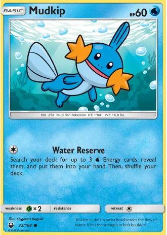 Mudkip #32 — Celestial Storm