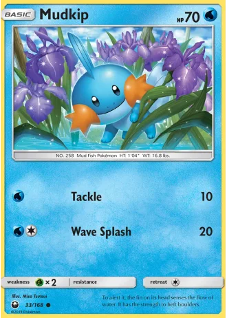 Mudkip #33 — Celestial Storm