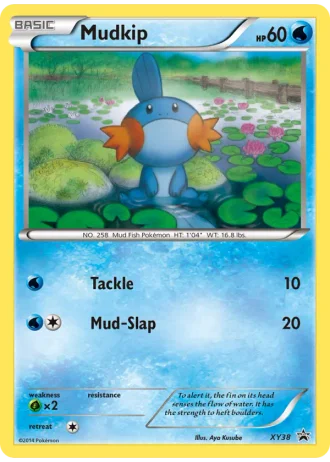 Mudkip XY38 — XY Promos